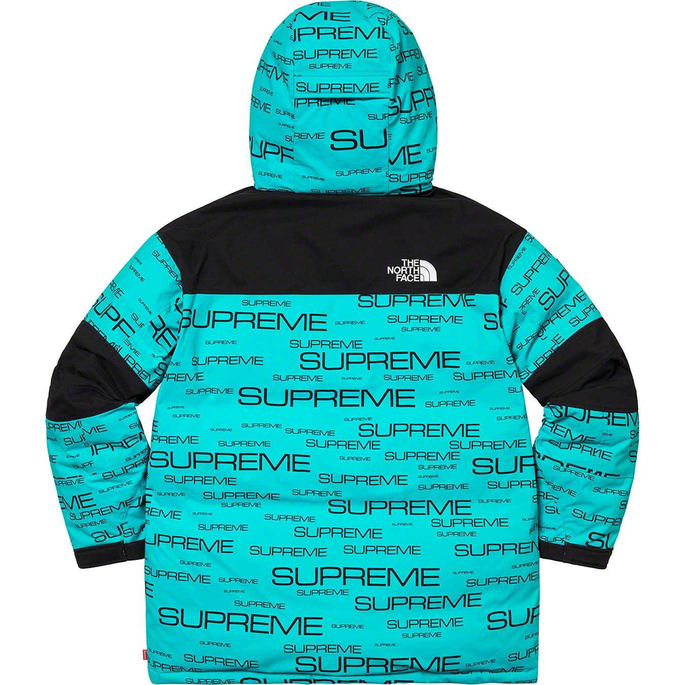 Supreme®/The North Face® Coldworks 700-Fill Down Parka view 9